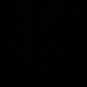 Meet your Posher, Jovana